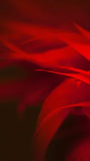 高清红色简约H5背景高清