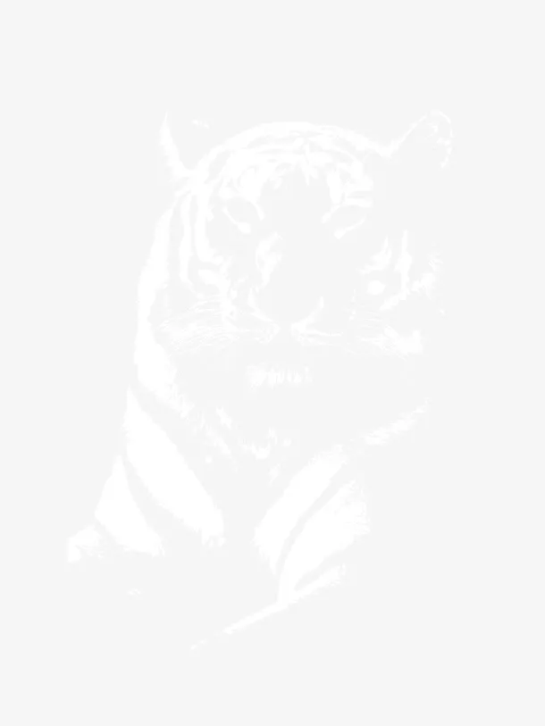 正面老虎素材免抠