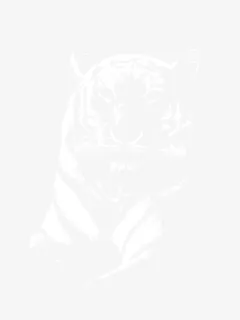 正面老虎素材免抠