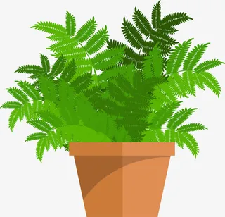 卡通绿色含羞草免抠