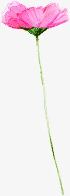 清新紫色水彩花朵春天免抠