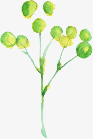 水彩花蕾免抠