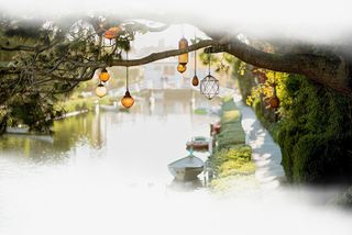 春天绿色山水树枝枝丫免抠