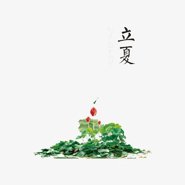 二十四节气立夏免抠