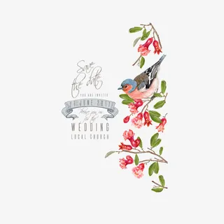 花鸟底纹下载免抠