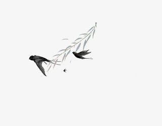 燕子与柳树免抠装饰动物元素