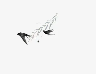 燕子与柳树免抠装饰动物元素