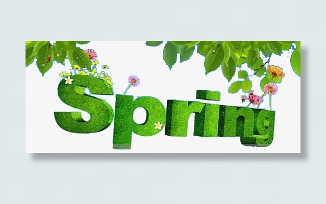 spring免抠