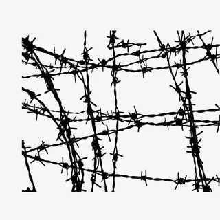 铁丝荆条编织的铁网免抠 铁丝荆条编织的铁网免抠