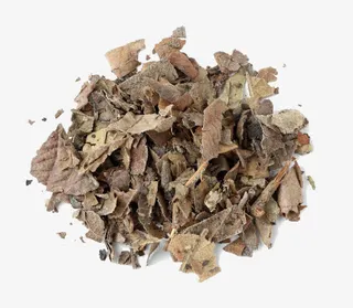 干枯的枇杷叶碎片免抠