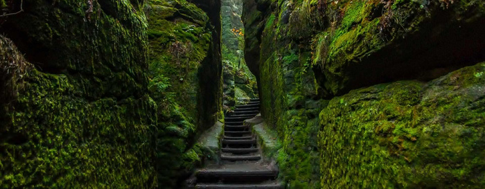 深山峡谷苔藓背景高清