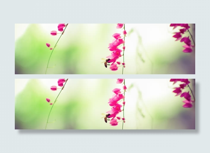 淘宝女装首页夏装海报促销banner