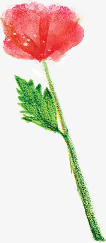 彩绘风格高清花朵绿叶合成效果免抠
