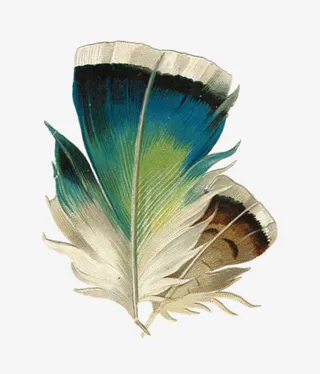 漂浮花瓣气泡简洁大方免抠