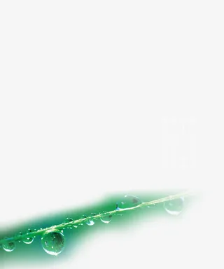 清明节素材免抠