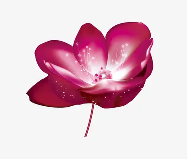 一朵粉色单叶野生玫瑰花免抠 一朵粉色单叶野生玫瑰花免抠