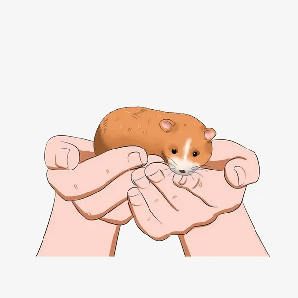 双手托小狐狸免抠