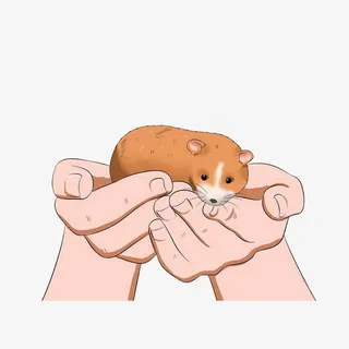 双手托小狐狸免抠