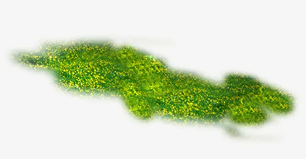 花草免抠