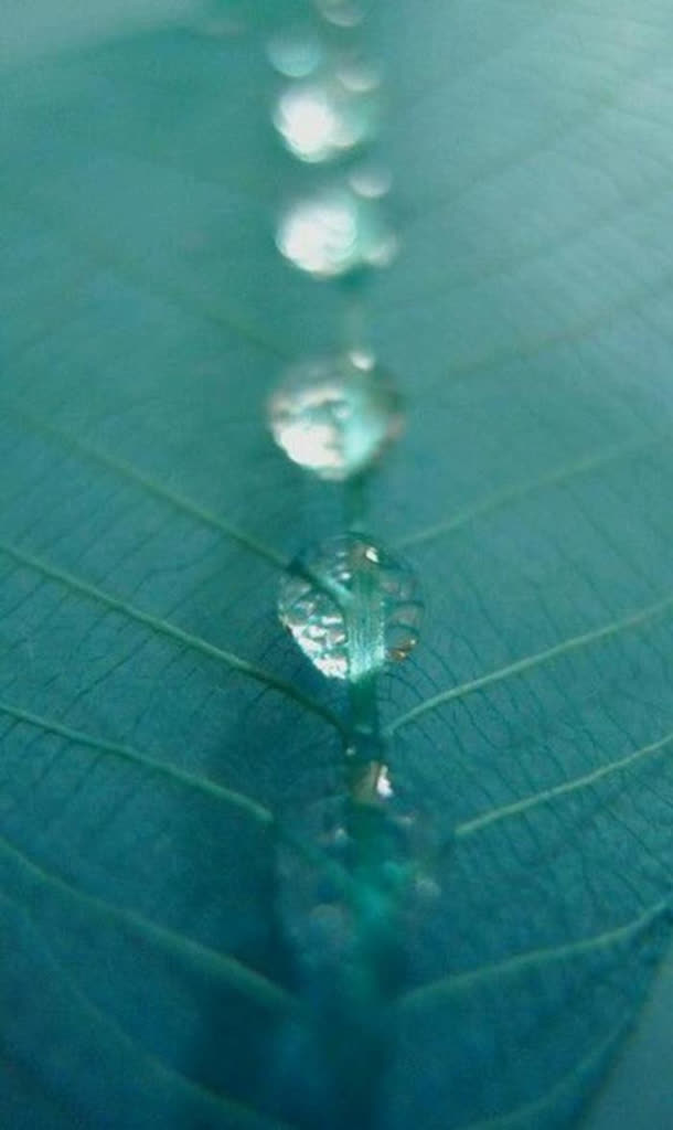 水珠静物高清壁纸免抠