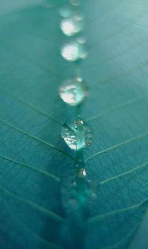 水珠静物高清壁纸免抠