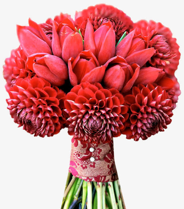 一束红花免抠