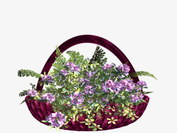 一个花篮免抠