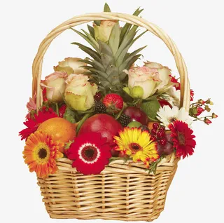 花篮花卉植物素材免抠