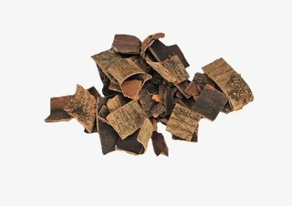 中药材杜仲实物图免抠