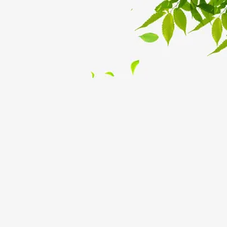 漂浮绿叶免抠