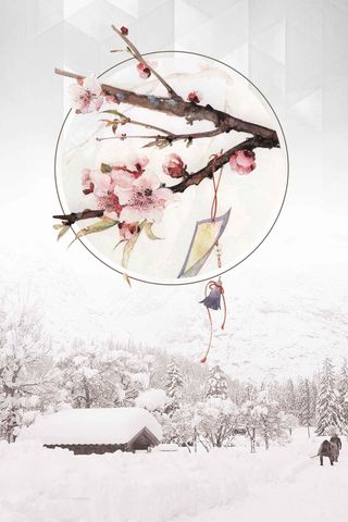 二十四节气立冬清新素雅梅花高清