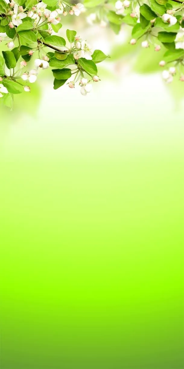 绿色背景高清