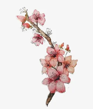 手绘桃花清新素材免抠