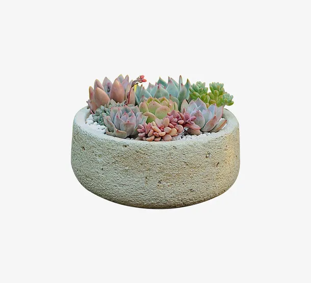 多肉植物组合盆栽元素免抠