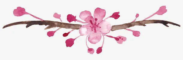 金粉梅花免抠