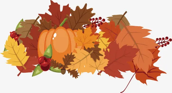 秋天枫叶南瓜免抠