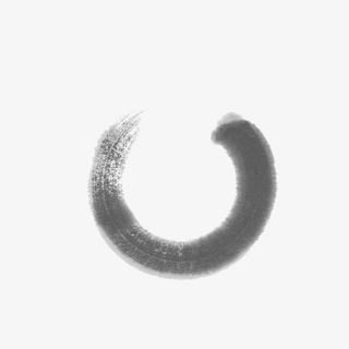 当代 水墨圆框 中国风 装饰免抠