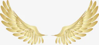 一对金色天使翅膀图免抠装饰动物元素