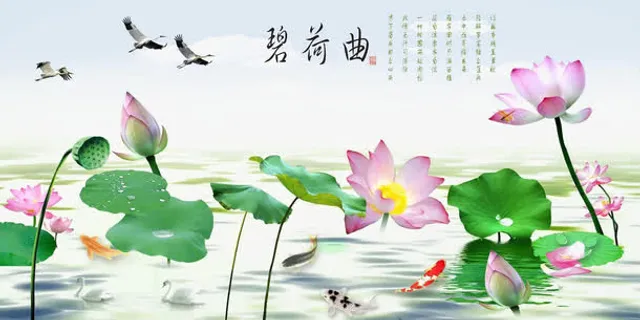 水中漂亮的荷花免抠