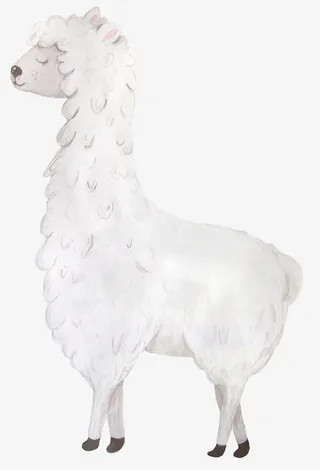 卡通小清新羊驼免抠png装饰免抠