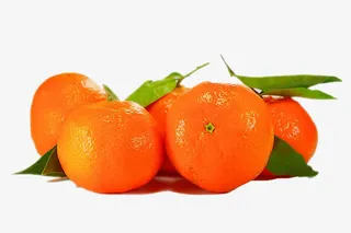 新鲜砂糖橘高清图片下载免抠