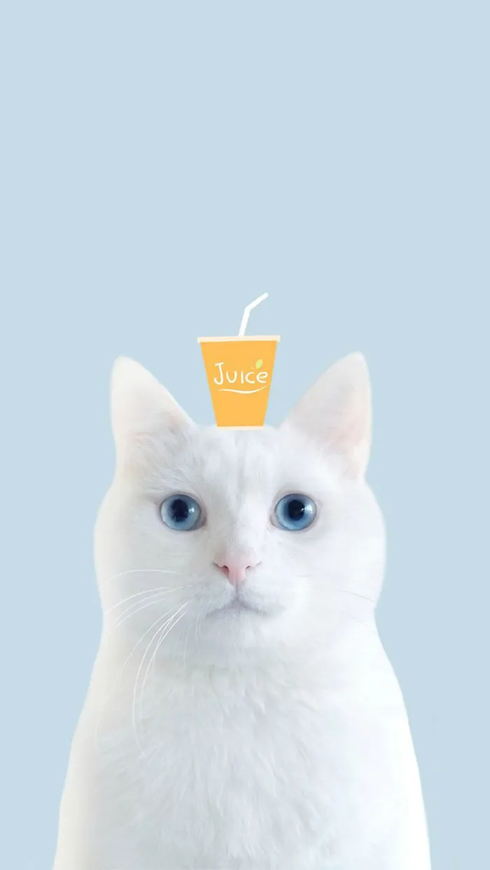小猫头上的果汁H5背景素材高清