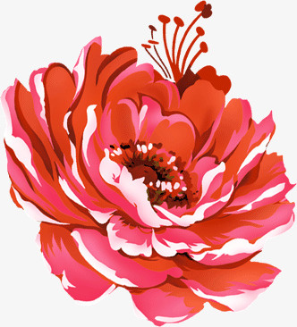 彩绘花朵花瓣花蕊免抠