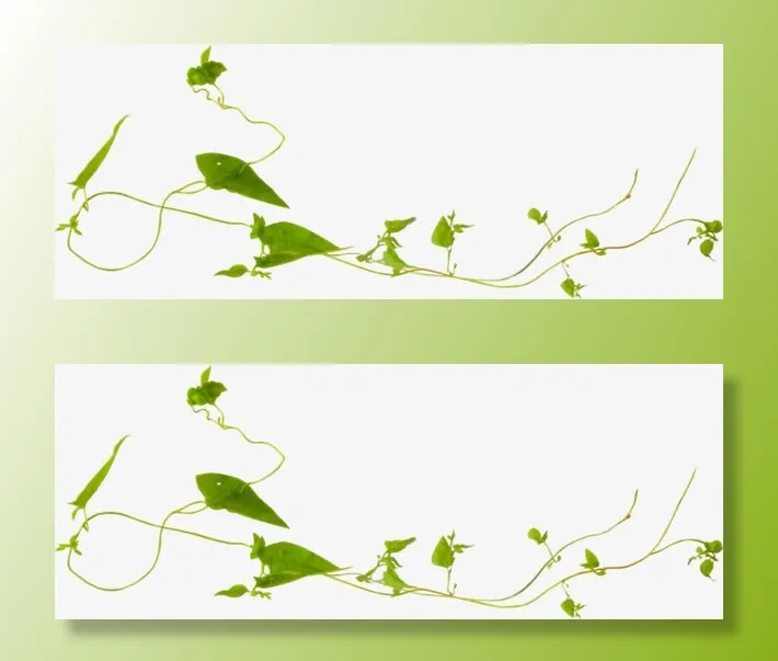 绿色蔓藤免抠漂浮叶子元素