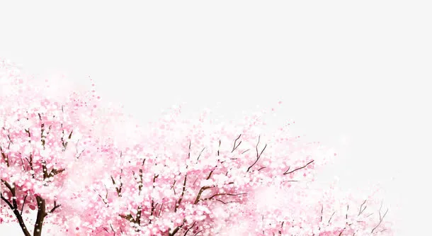 樱花树装饰图案免抠