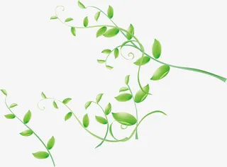 绿色枝条装饰矢量免抠