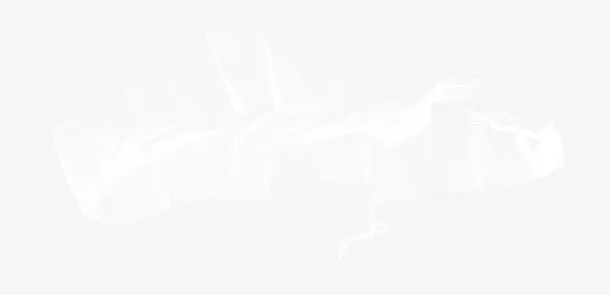 白色透明丝巾免抠