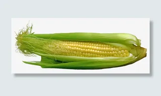 平放饱满玉米粒的有皮玉米免抠
