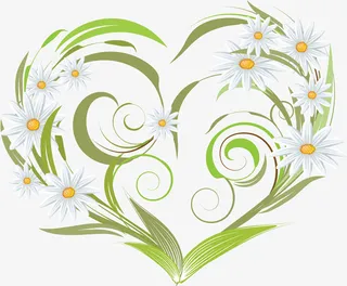 花png 透明 素 材 免扣免抠