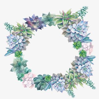 小清新手绘多肉花环边框免抠
